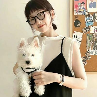 愤世嫉俗者、老鼠和拳头